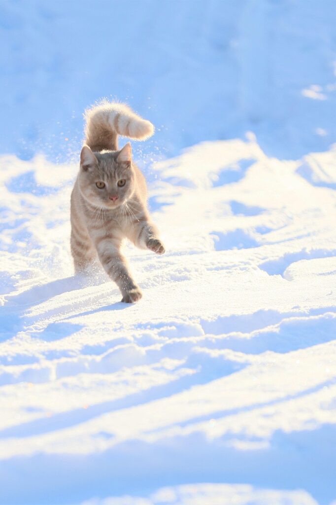 全身医療脱毛湘南の料金プランはどのようなものですか？