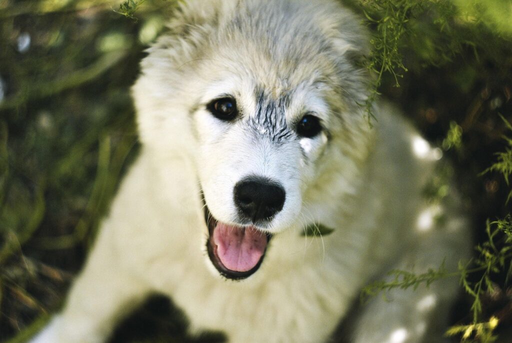 脱毛に関する医療ローンのメリットと注意点は？