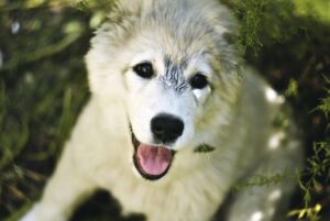 脱毛にかかる所要時間はどれくらい？