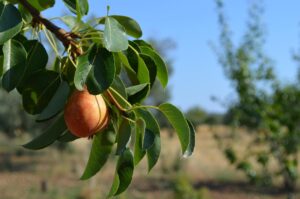 全身医療脱毛で学割なしでも安く通う方法は？