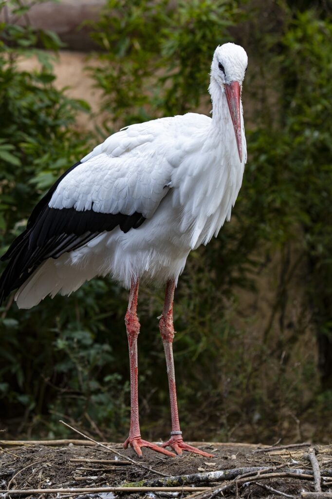 全身医療脱毛の全身セット価格は個別より得か？