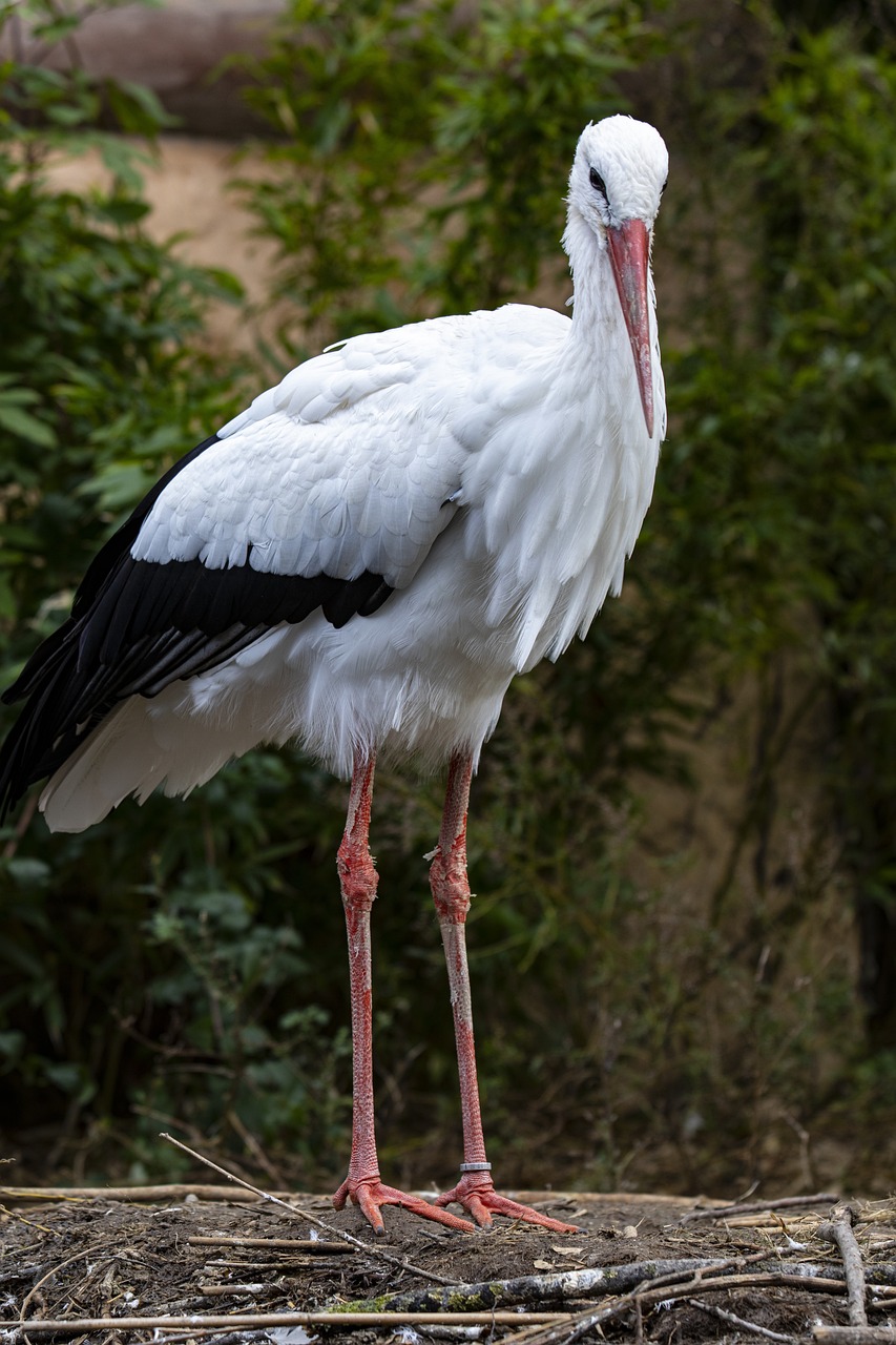 全身医療脱毛の全身セット価格は個別より得か？