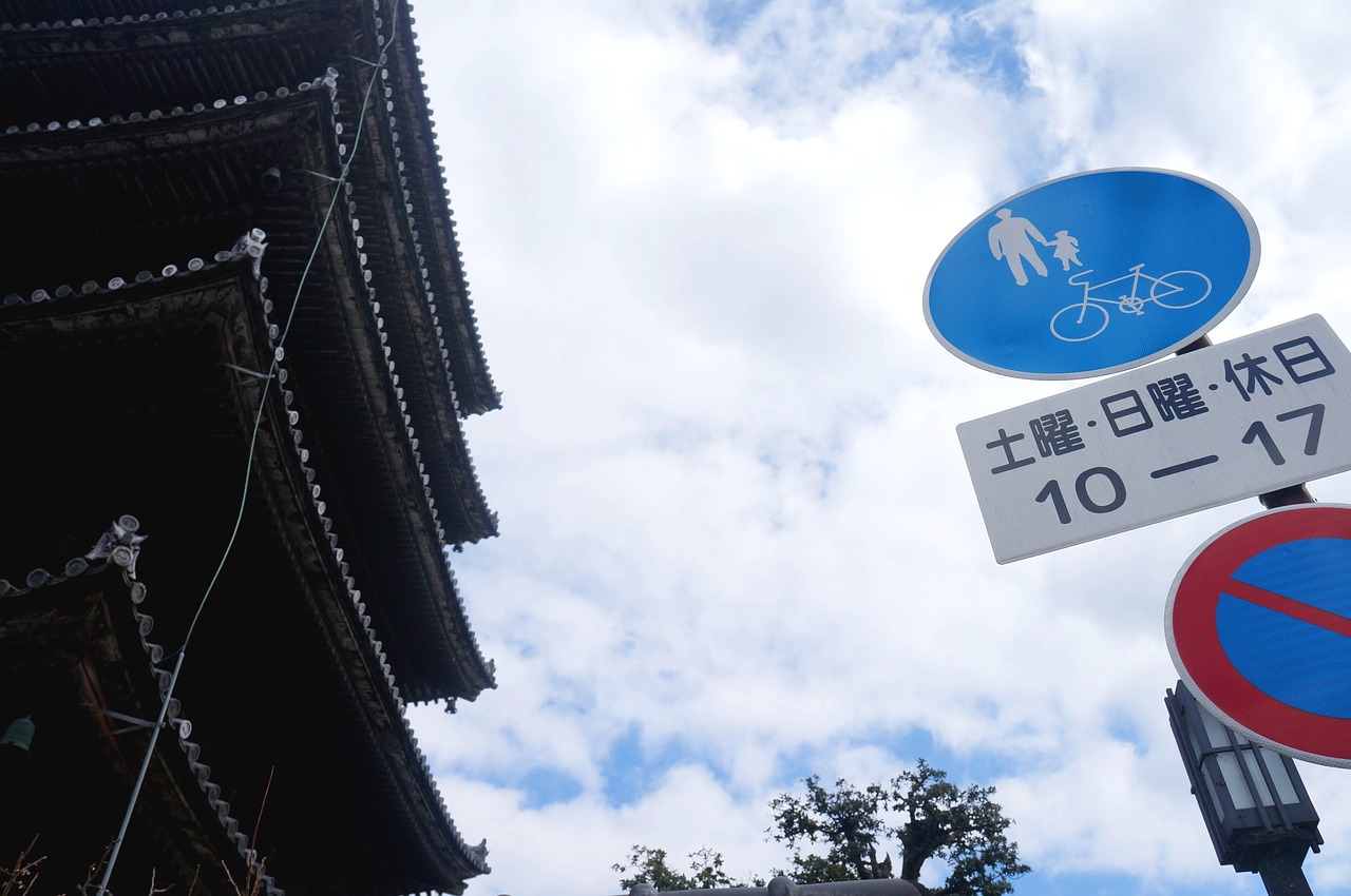 全身医療脱毛を海外と日本の料金比較してみたい方へ！