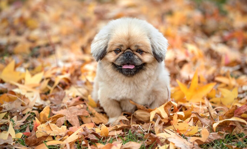 全身脱毛の回数の目安とそのサイクルはどのくらい？