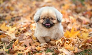 全身脱毛の回数の目安とそのサイクルはどのくらい？