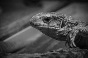 医療脱毛で全身の効果を実感するまでに何回か必要なの？